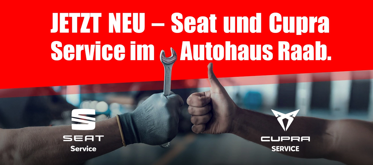 Seat und Curpa NEU
